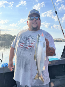 Catch of the day in California: Salmon!